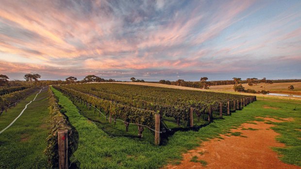 Australia’s 52 top wineries of 2022
