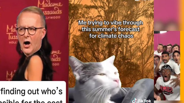 TikTok videos by (from left) Liberals, Greens and Labor.