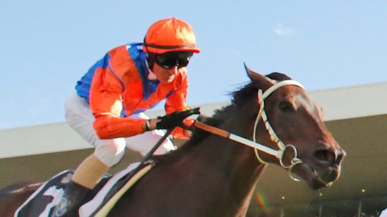 George Ryder Stakes winner Think It Over will carry a load of emotion from a grieving Kembla Grange in the Winx Stakes at Randwick on Saturday