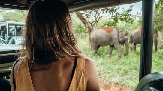 “Travel is my reason for living. All I have ever wanted is to do, from the moment I could stand upright, is explore this world.”