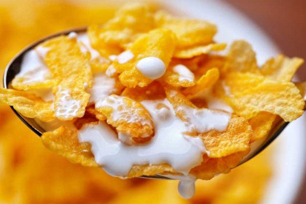 Cornflakes
