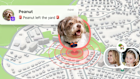 Life360 has launched a new pet tracking device that notifies users if their pet escapes.