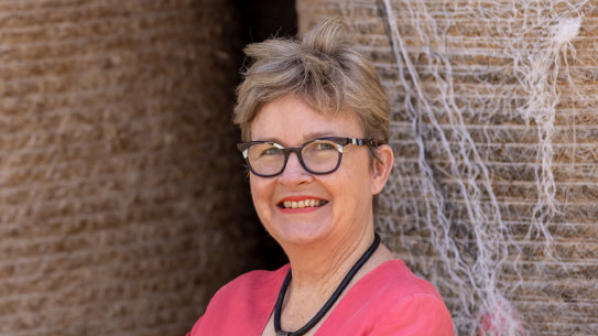 Susan Benedyka is running as an independent Senate candidate for Victoria, part of a growing movement to get independents elected and shake up "politics as usual" in Canberra.