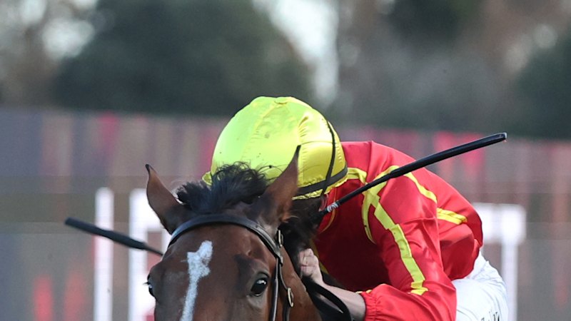 Tips and race-by-race preview for Kensington on Wednesday