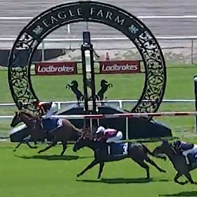 Lady Of Five winning on debut at Eagle Farm in October last year.
