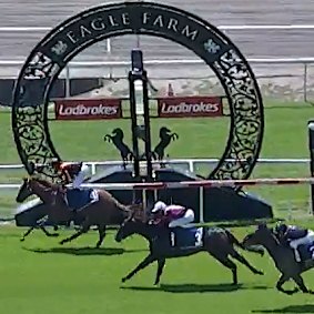 Lady Of Five winning on debut at Eagle Farm in October last year.