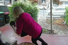 An alleged flower thief has been caught on CCTV ripping flowers from the garden beds of Adelaide businesses, leaving the owners bewildered.