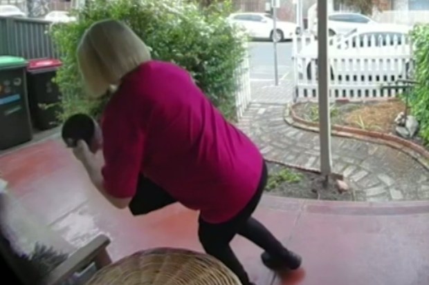 An alleged flower thief has been caught on CCTV ripping flowers from the garden beds of Adelaide businesses, leaving the owners bewildered.