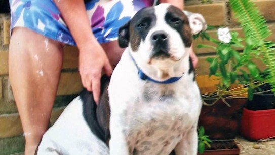 For more than a decade, Kathy and her mate Oddball were pretty much inseparable.