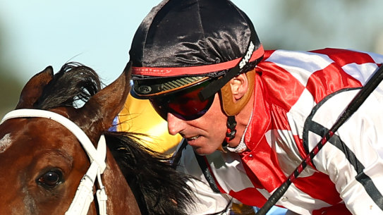 Nash Rawiller has had to wait a couple of runs to get back on Waterford after winning on him first-up.