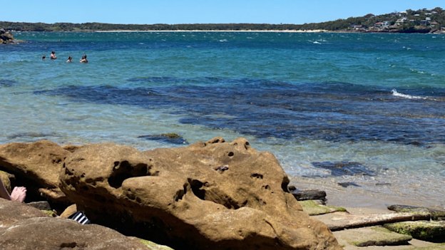Picture perfect: Salmon Haul Reserve in the Sutherland Shire.