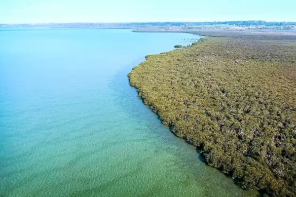 The building of a port to support the development of a wind farm in Victoria clashed with the protection of Ramsar-listed wetlands.