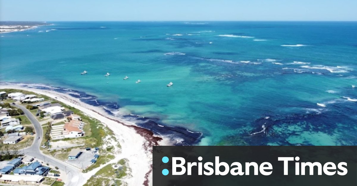 From Seabird to Lancelin, coastal towns near Perth are having a renaissance - Vimarsana News