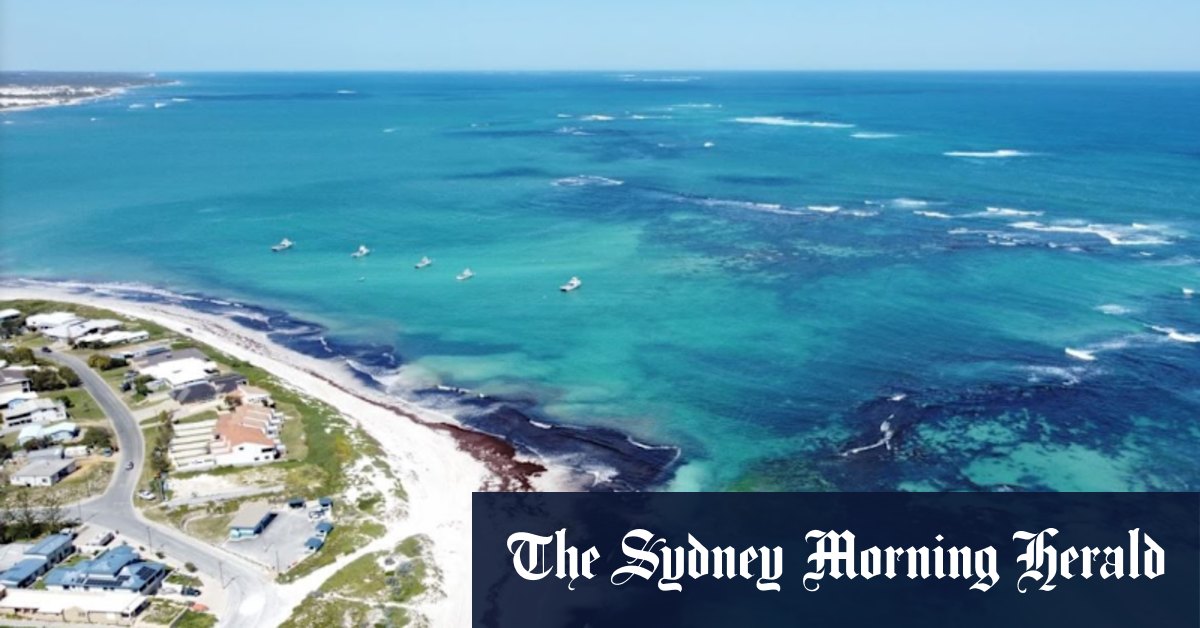 From Seabird to Lancelin, coastal towns near Perth are having a renaissance - Vimarsana News