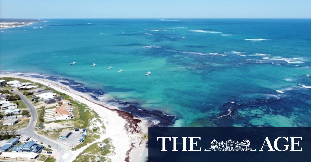 From Seabird to Lancelin, coastal towns near Perth are having a renaissance - Vimarsana News