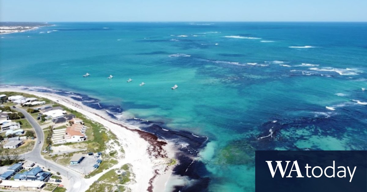 From Seabird to Lancelin, coastal towns near Perth are having a renaissance - Vimarsana News