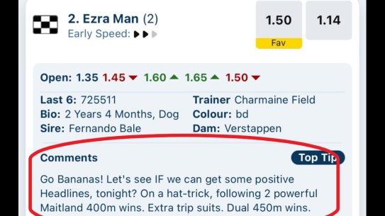 The offensive form comment about greyhound, Ezra Man.