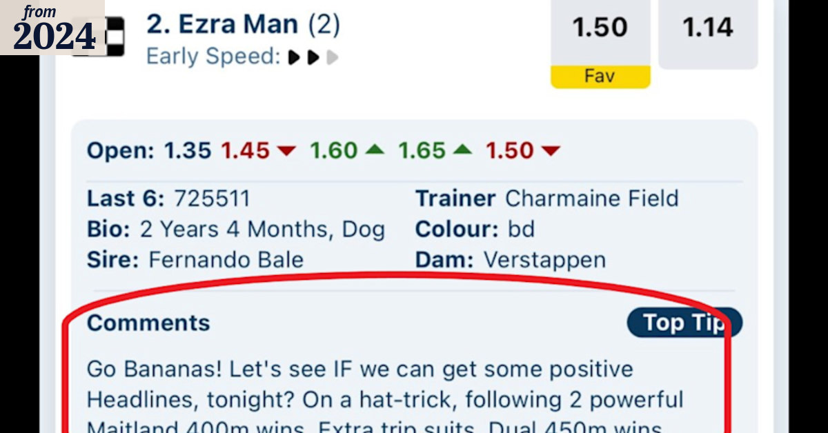 ‘Go Bananas’: Greyhound Racing NSW sacks staffer over Ezra Mam gaffe