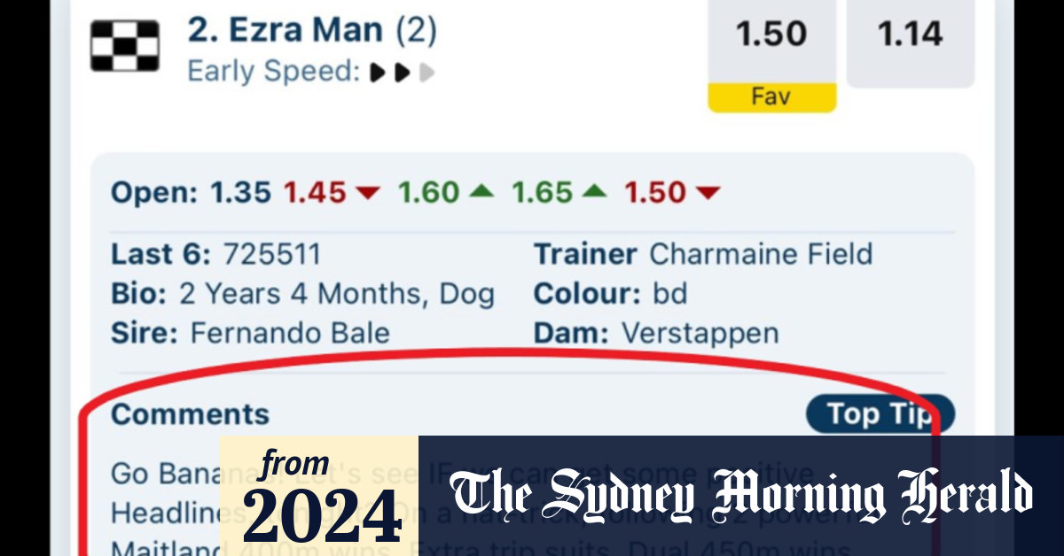 ‘Go Bananas’: Greyhound Racing NSW sacks staffer over Ezra Mam gaffe