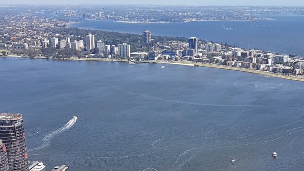 South Perth Peninsula as seen from the CBD. 