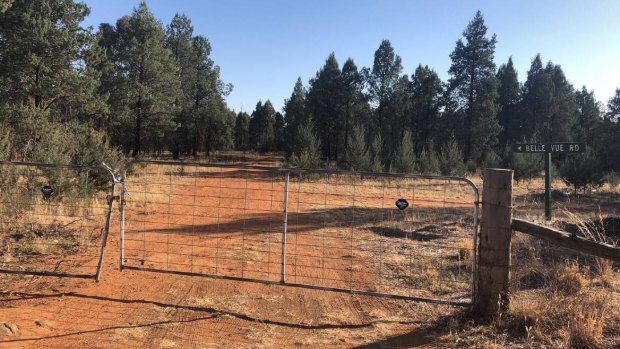 Forensic services, police and police dogs at Lester State Forest searching for the body of Allecha Boyd.