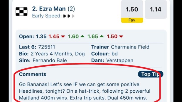 The offensive form comment about greyhound, Ezra Man.