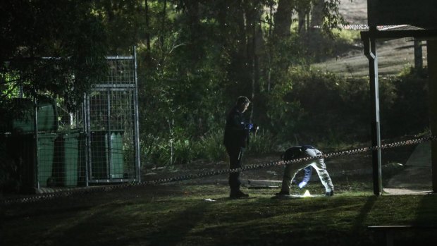 Police examine a crime scene after a 11-year-old girl was sexually assaulted in Newcastle.