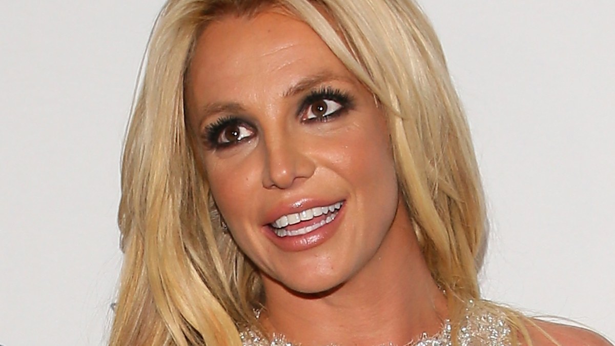 Britney Spears hits back at reports after dangerous freeway stunt