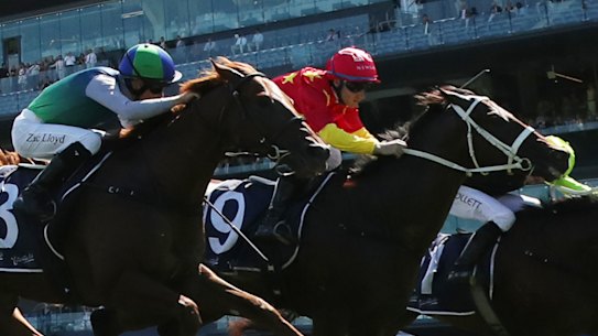 Campione D’italia (red cap) wins the Skyline Stakes at Randwick in February.