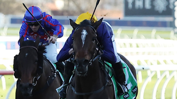 Race-by-race preview and tips for Coffs Harbour on Friday