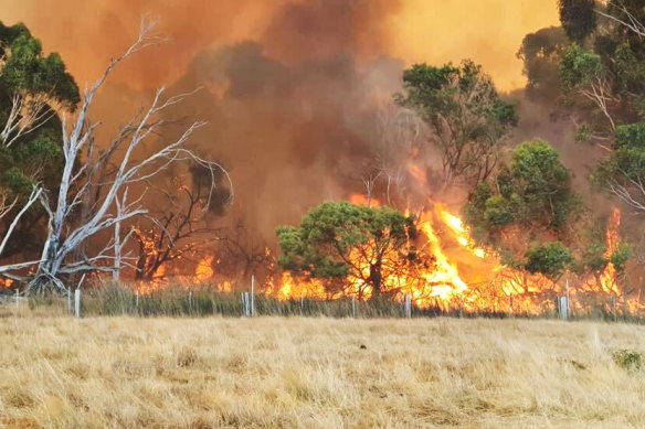 Smoke on the horizon from bushfires burning west of Ballarat.