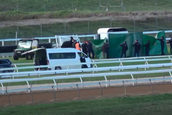 Fulmineus died after a fall at Warrnambool on Wednesday.