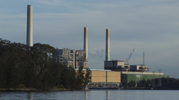 Delta Electricity's Vales Point coal plant is 30 km from the nearest EPA air monitoring site, EJA's report claims.
