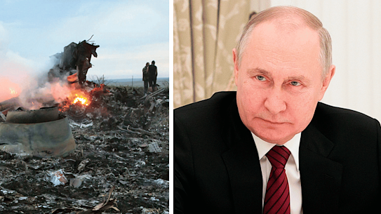 Russian President Vladimir Putin played a role in supplying the anti-aircraft weaponry that downed Malaysia Airlines flight 17.
