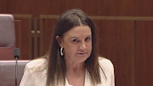Senator Jacqui Lambie pleads for better care for veterans in a fiery and emotional speech.