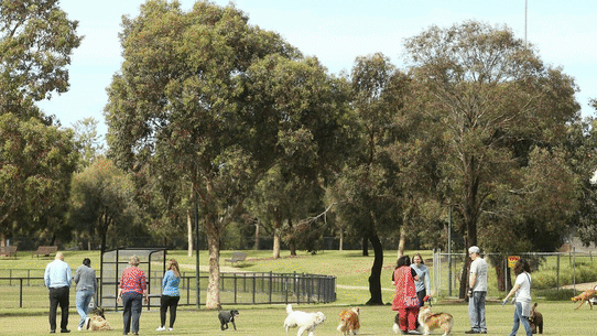 Life in Caulfield South.