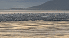 The flooded Burning Man festival.