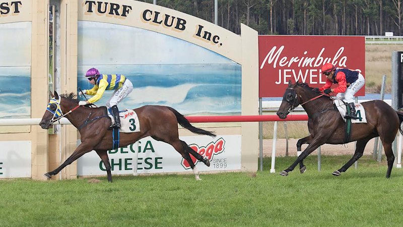 Race-by-race preview and tips for Sapphire Coast on Sunday