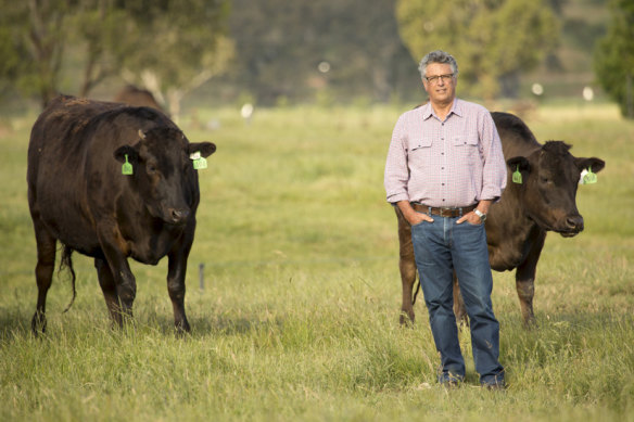 Curtis Stone will import David Blackmore’s wagyu from Benalla.  