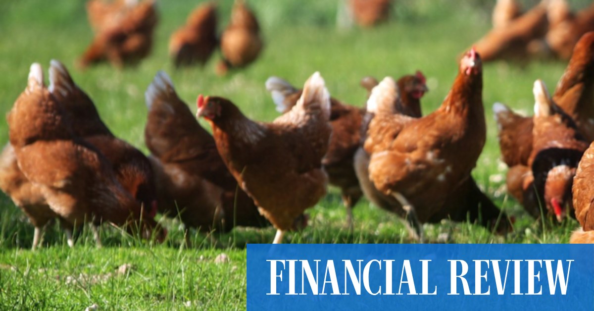 afr.com - Sarah Thompson, Kanika Sood, Angira Bharadwaj - Canadian pensions giant PSP cooks up bid for Inghams