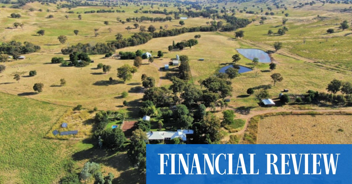 Fund managers, rich families spend big on livestock stations - Vimarsana News