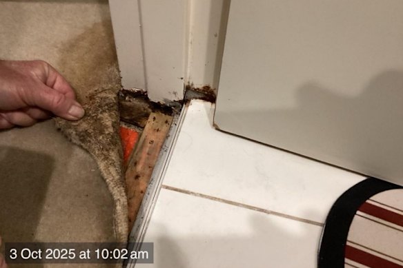 Water leaks were among defects identified by NSW Building Commission inspectors.