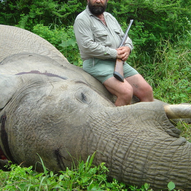 A British big-game hunter poses with an elephant he
shot in Zimbabwe.
