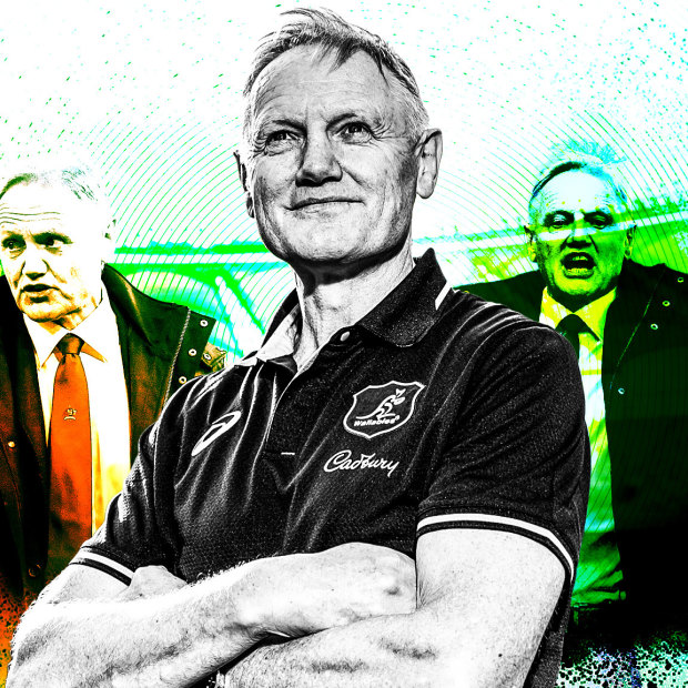 Joe Schmidt index image