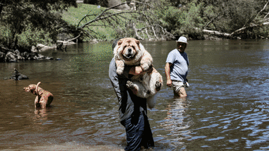 Melbourne heatwave LIVE: Temperatures reach 40s in parts of Victoria; Residents urged to leave as Thologolong fire spreads; Total fire bans for Central, Wimmera, South West
