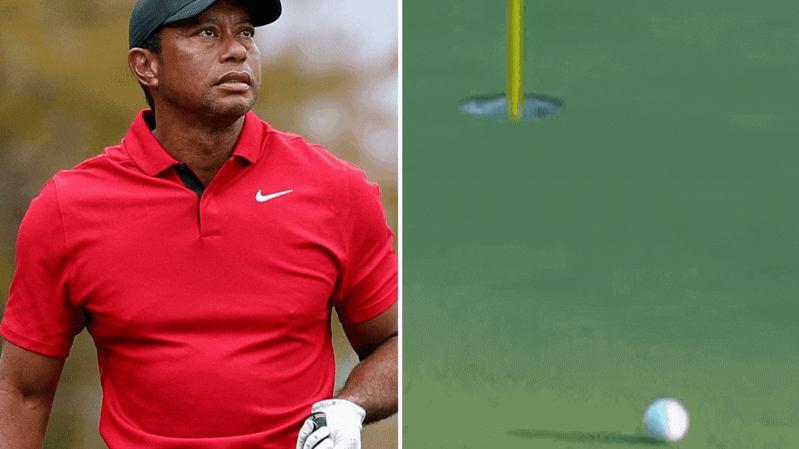 Tiger woods frank apparel sale