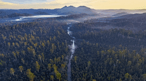Images from “Australia’s Amazon”.