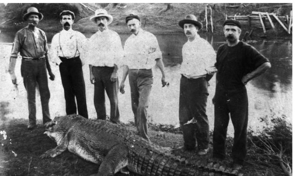Local shop keeper Alf Hinds spotted the crocodile floating in the water before getting his brother and a third man to help tow the dead reptile out.