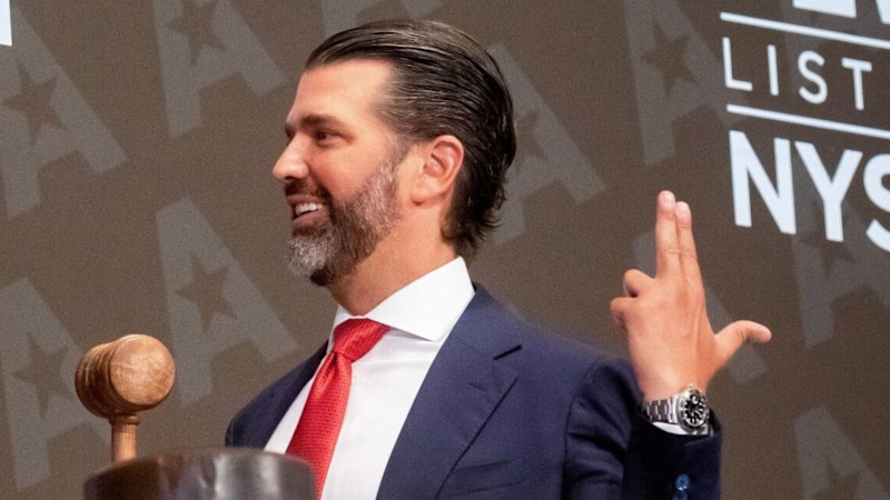 ‘Woke nonsense': Trump's gun sale reforms to benefit son's company