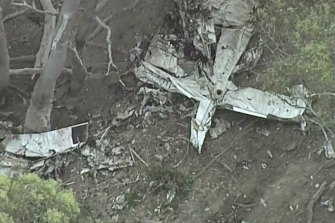 One of the planes crashed in woodland.